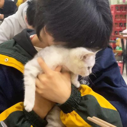 网友照片头像真人男生