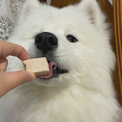 狗狗情侣头像超萌一对