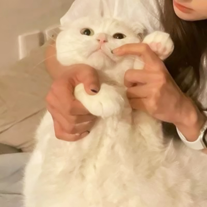 ins对象不是人情头