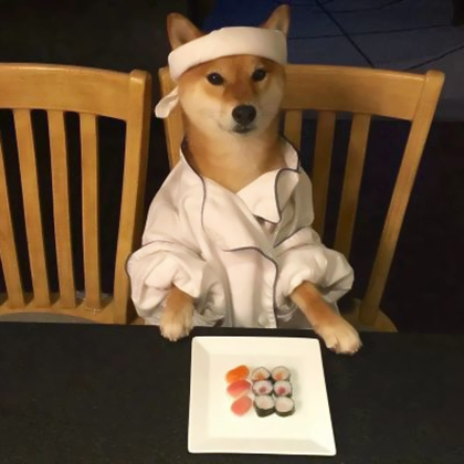 小动物情侣头像呆萌一对