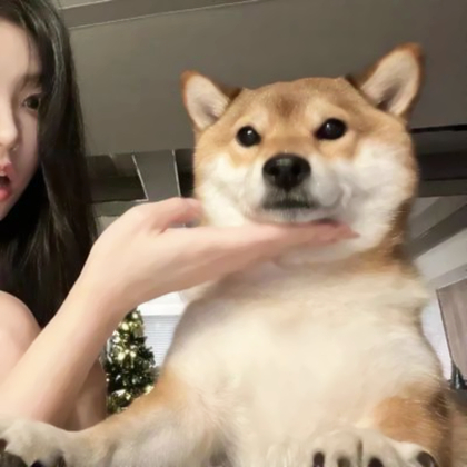 对象不是人的头像可爱女