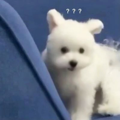 治愈可爱小狗头像