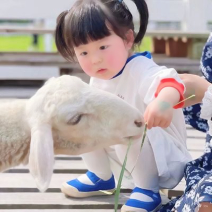 丸子妹头像可爱