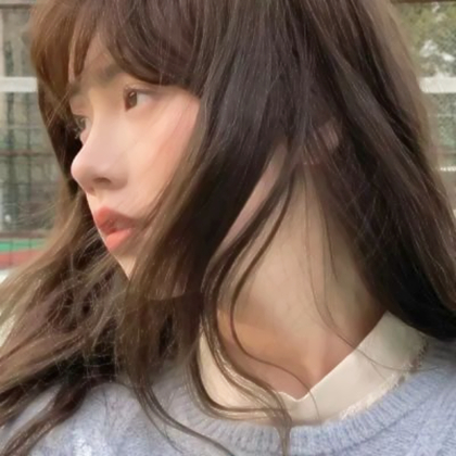 高级氛围小众女头
