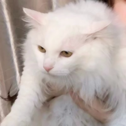 对象不是人情侣头像高级