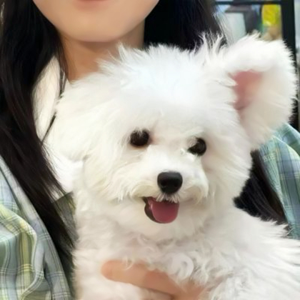 情侣头像真人对象是狗