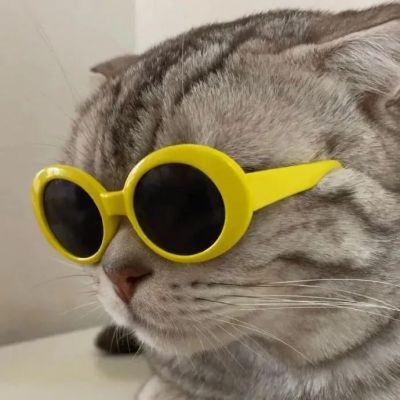 头像越怪本人越帅系列