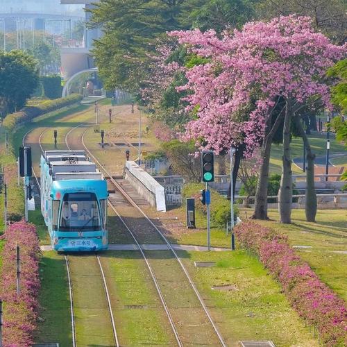 旅行者头像