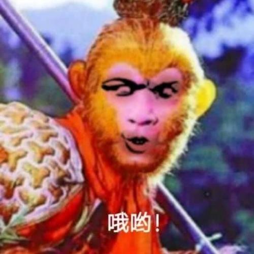 超经典搞笑沙雕头像