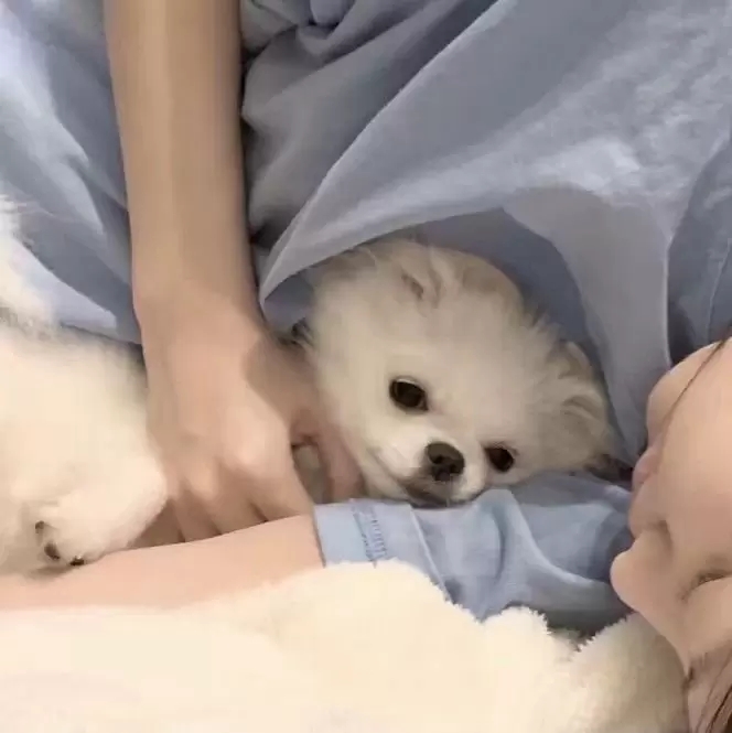 情侣头像真人一人一半