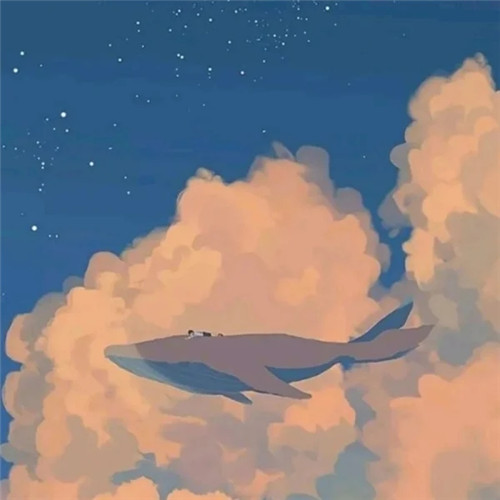 治愈心情的头像