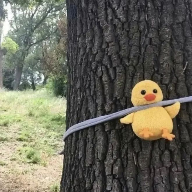 头像越怪本人越帅系列