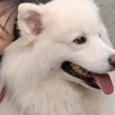 情侣头像真人一人一半