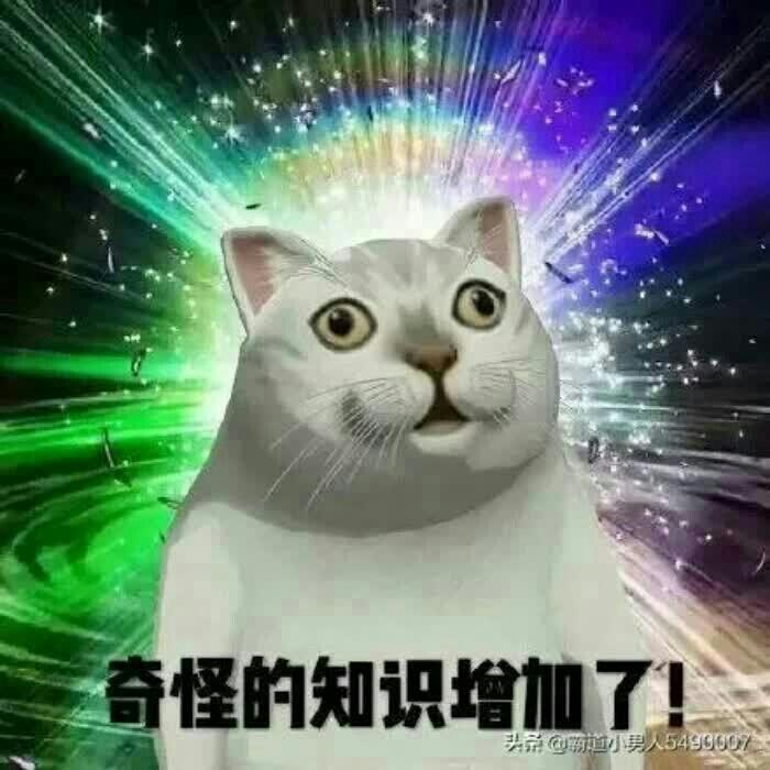 高级又搞怪的头像