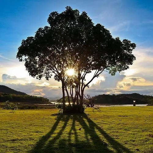 唯美风景头像图片大全高清