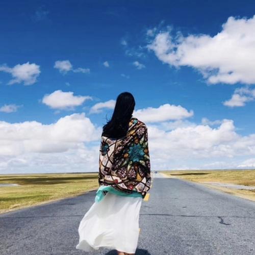 旅行者头像