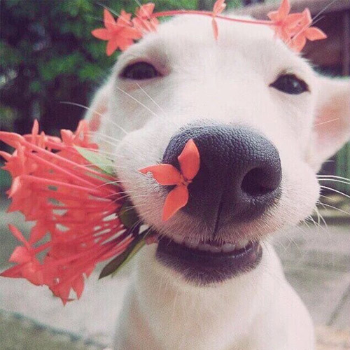 开心快乐微信头像