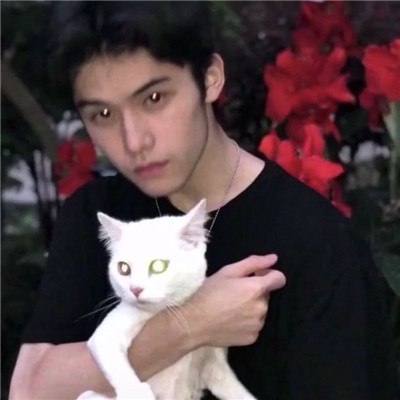 高级又沙雕的头像2025