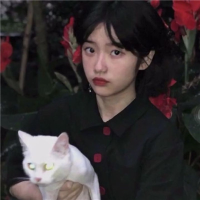 高级又沙雕的头像2025