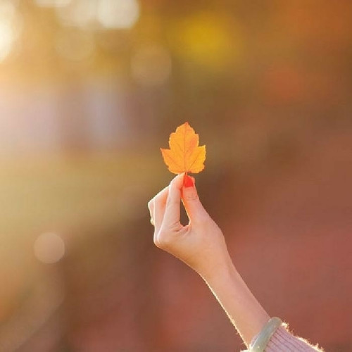 女人最旺财的微信头像知性吉祥招财图片