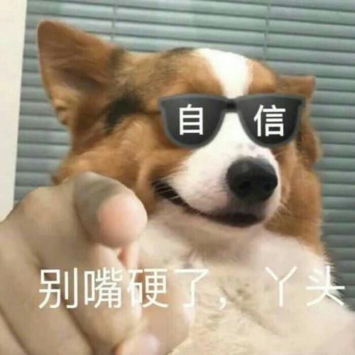 搞怪头像图片2025最火爆