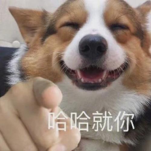 搞怪头像图片2025最火爆