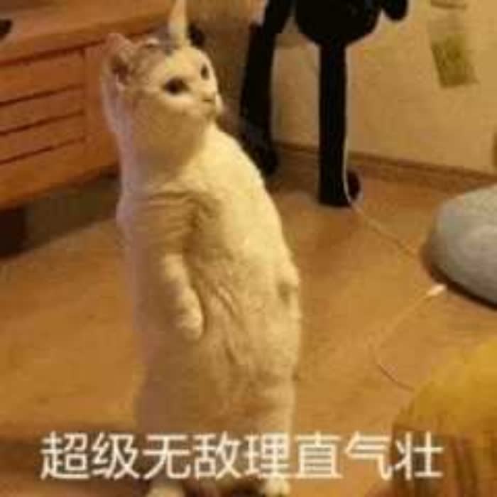 搞怪头像图片2025最火爆