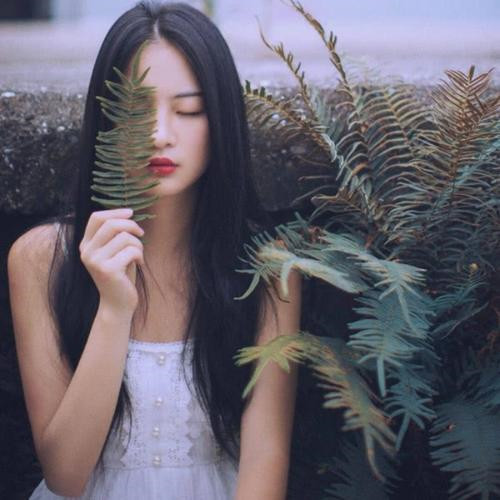微信女生高清头像图片2025最火爆好看