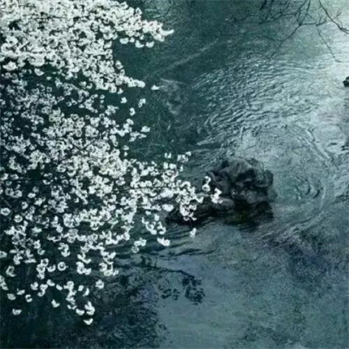 2025最火微信头像风景图片新款高清好看