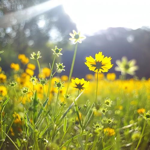 30一40岁成熟女人头像