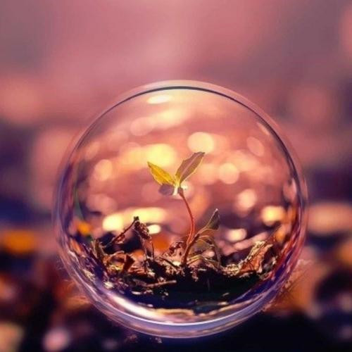 30一40岁成熟女人头像