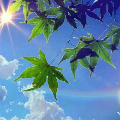 励志微信头像2025年最新版图片好看高清