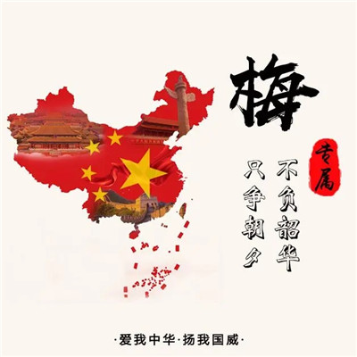 爱国热爱祖国头像图片