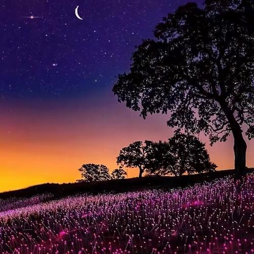 头像微信2025年最新版简约大气风景图片