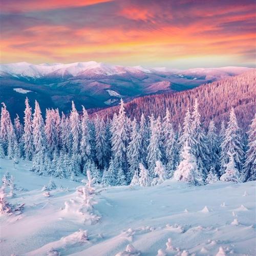 头像微信2025年最新版简约大气风景图片