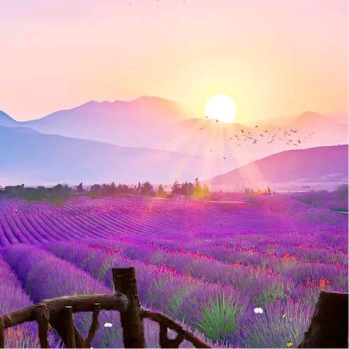 头像微信2025年最新版简约大气风景图片