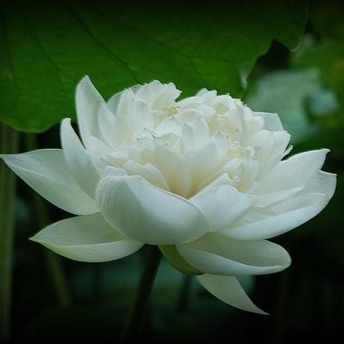 头像微信2025年最新版简约大气风景图片