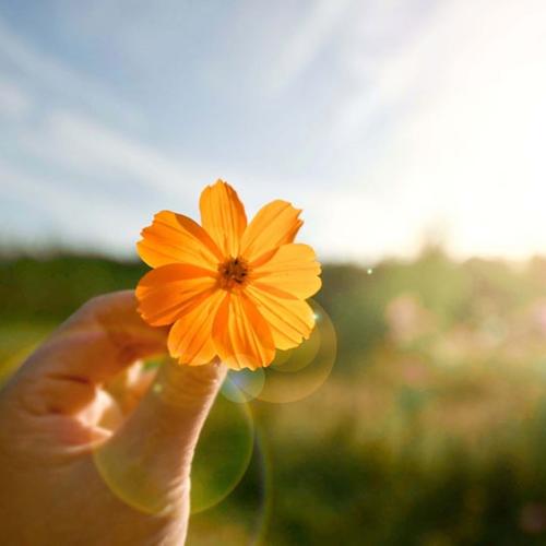 头像微信2025年最新版简约大气风景图片