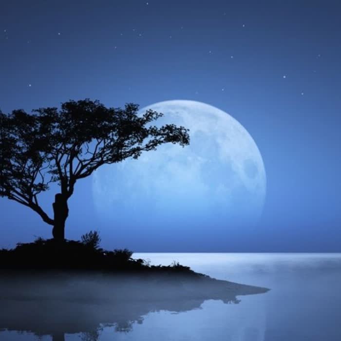 头像微信2025年最新版简约大气风景图片