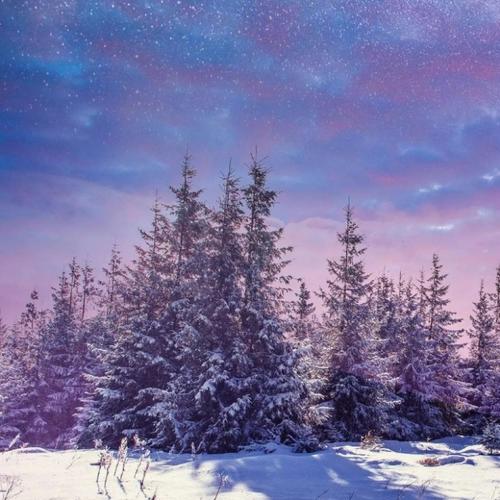 头像微信2025年最新版简约大气风景图片