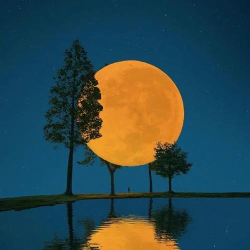 头像微信2025年最新版简约大气风景图片