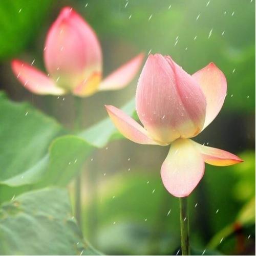 头像微信2025年最新版简约大气风景图片