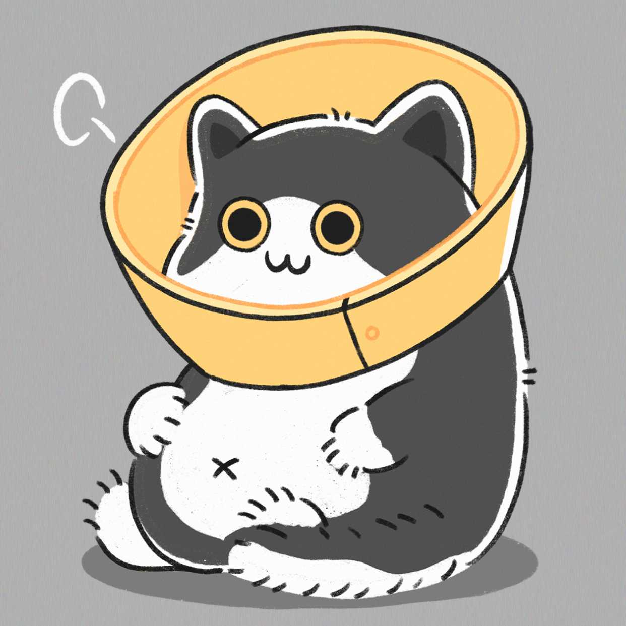 卡通可爱手绘动物猫咪头像图片