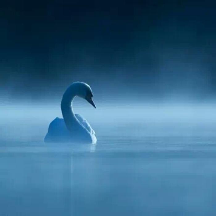 风景图片大全高清图片头像