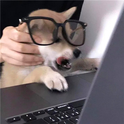搞笑又好看的微信头像图片