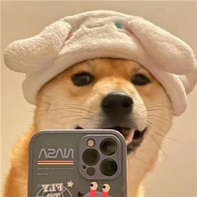 抖音搞怪逗比头像图片