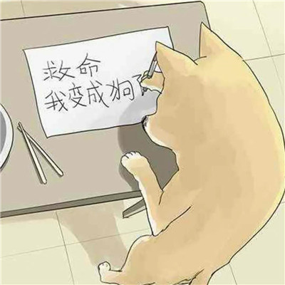 抖音搞怪逗比头像图片