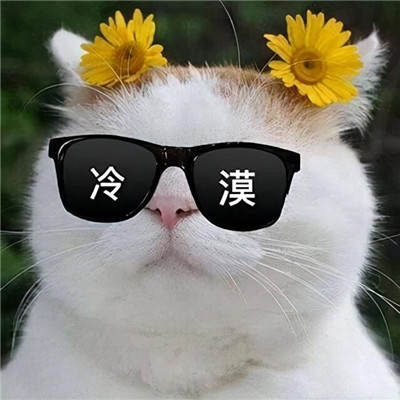 抖音搞怪逗比头像图片