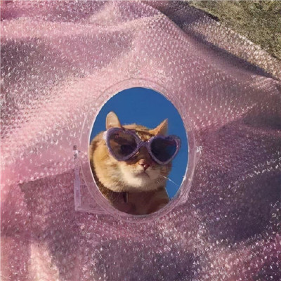 沙雕趣味头像图片