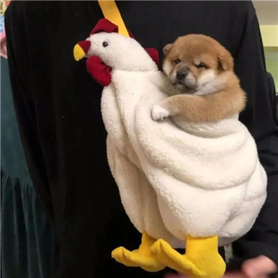 沙雕趣味头像图片